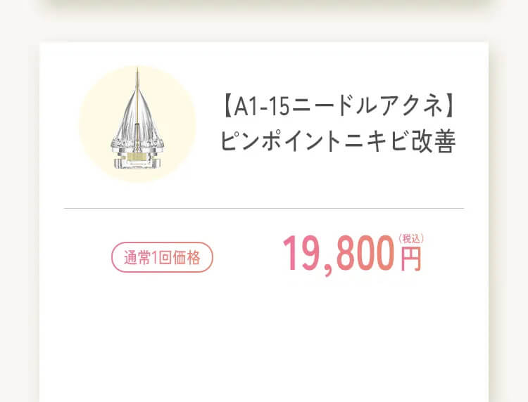 A1-15ニードルアクネ ピンポイントニキビ改善 通常1回 19,800円 症例コース1回あたり 13,860円 税込