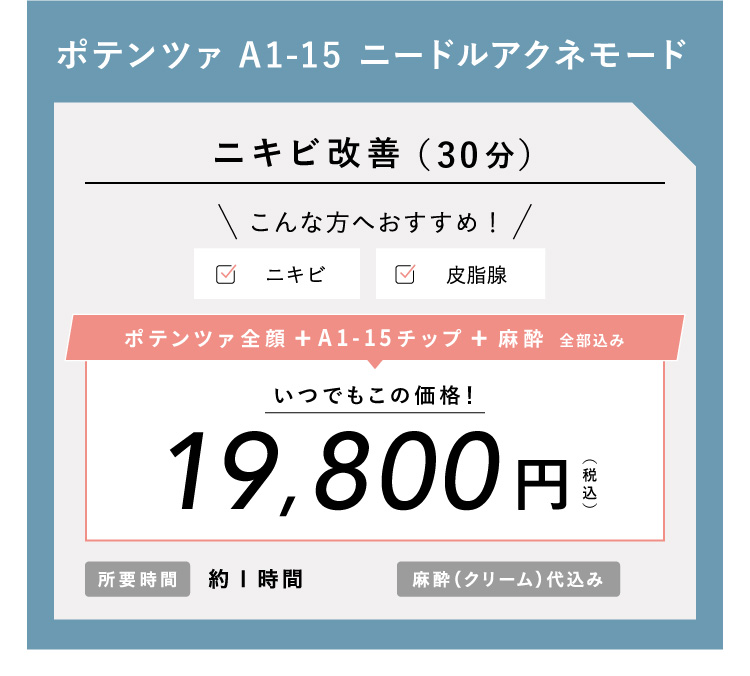 ポテンツァ A1-15 ニードルアクネモード 14,800円