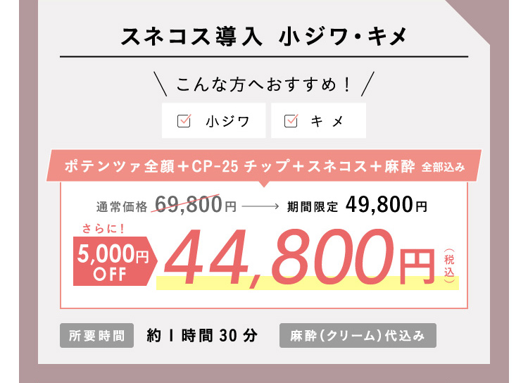 ポテンツァ CP-25 ドラッグデリバリー スネコス導入 44,800円