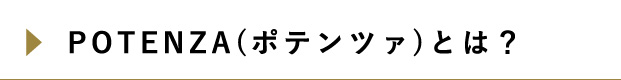 ポテンツァとは？