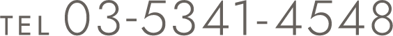 TEL:03-5341-4548