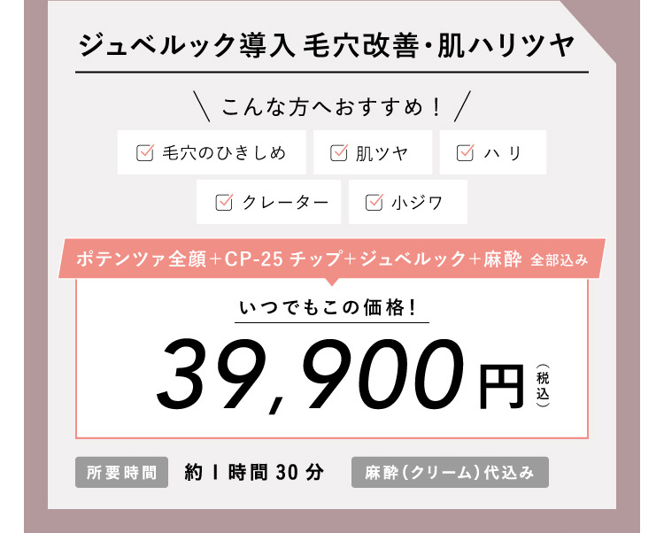 ポテンツァ CP-25 ドラッグデリバリー ジュベルック導入 39,900円