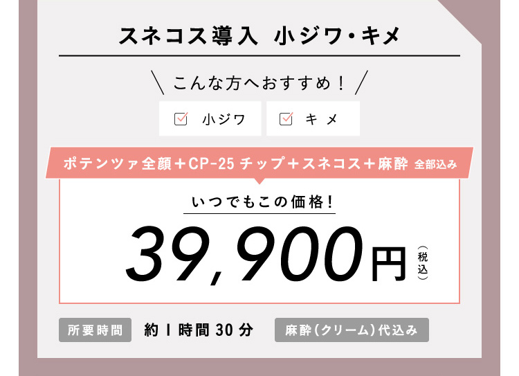 ポテンツァ CP-25 ドラッグデリバリー スネコス導入 39,900円